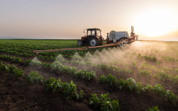 Best Pest Removal Services  in St Clairsville, OH