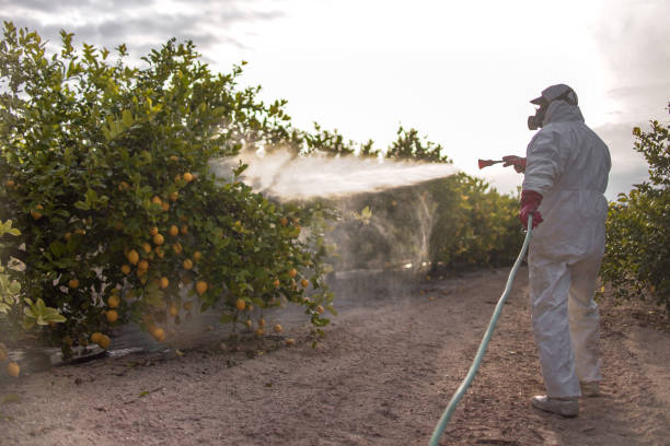 Best Pest Control Near Me  in St Clairsville, OH